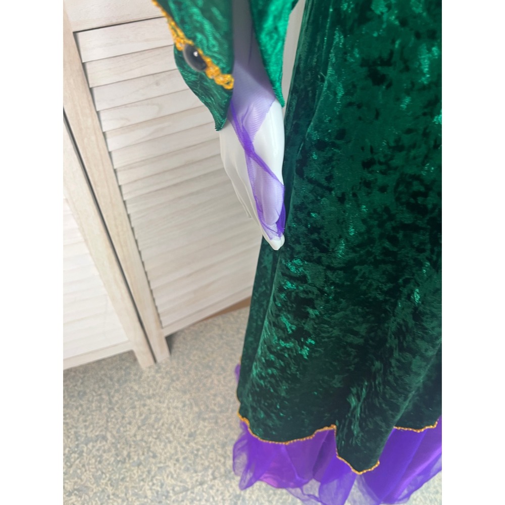 Hocus Pocus Winifred Sanderson Halloween Cosplay Velvet Medieval Gown Medium - Picture 7 of 16